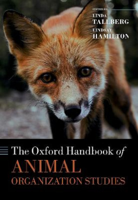 https://scientificbooks.net/sb/R0WQMmQMdG4lQuaG2G.jpeg