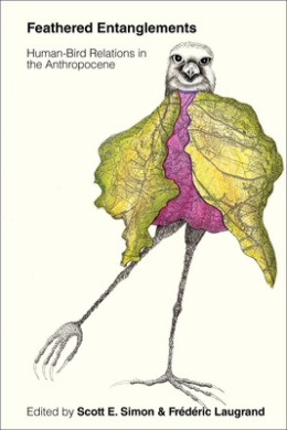 https://scientificbooks.net/sb/R2U5AA343wlQ2dSAzo.jpeg