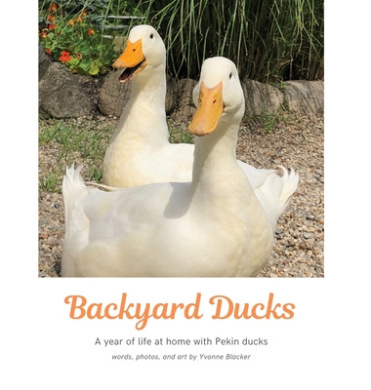 https://scientificbooks.net/sb/R33RsV7QLcgm15M2T5.jpeg