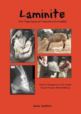 https://scientificbooks.net/sb/R7WqvncR70aglZtZkN.jpeg