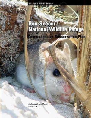 https://scientificbooks.net/sb/RD5wcWRqnPFFfNlDCr.jpeg
