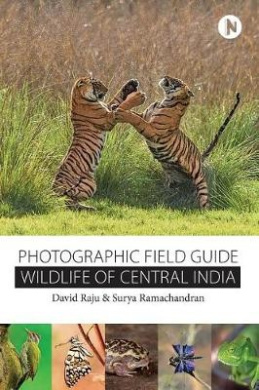 https://scientificbooks.net/sb/RFM8FXYpWfdIQI7u3h.jpeg