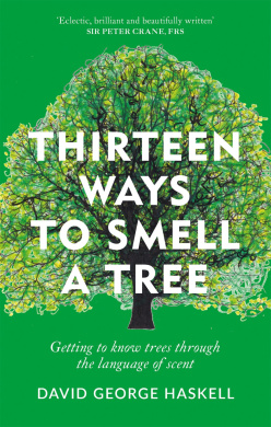 https://scientificbooks.net/sb/RSrQivNFMPjSAoZbPe.jpeg