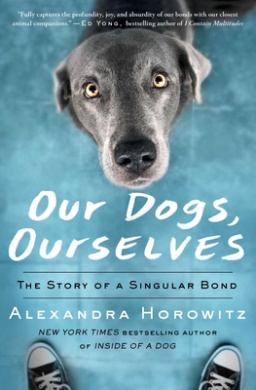 https://scientificbooks.net/sb/RUdDk7Ij94iE7RkBwy.jpeg