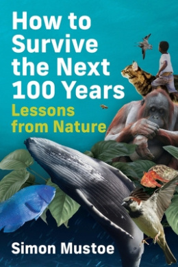 https://scientificbooks.net/sb/RgnpMkVmxGm9qJ5jyA.jpeg