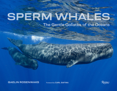 https://scientificbooks.net/sb/Rn8LIKgE1yia8vLMol.jpeg