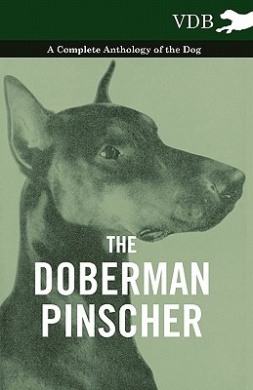 https://scientificbooks.net/sb/RpZ6cV9WfqgezBrNIZ.jpeg
