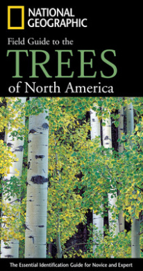 https://scientificbooks.net/sb/RqApJve2xxba41v54j.jpeg