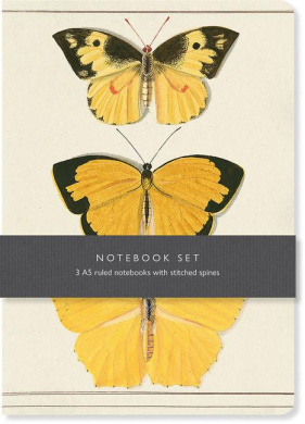 https://scientificbooks.net/sb/RqUURVCYjCkjbhNJjx.jpeg