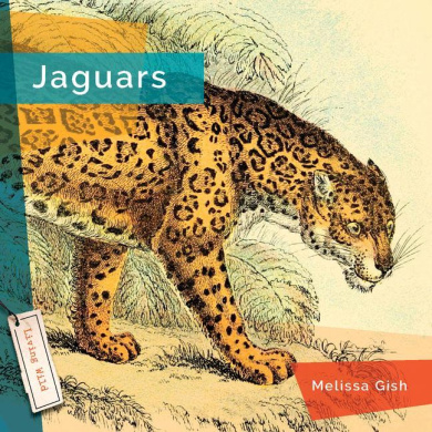 https://scientificbooks.net/sb/RwekCv9zs76AkW6Bhn.jpeg
