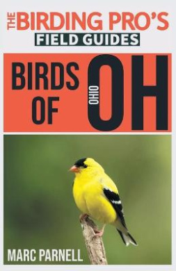 https://scientificbooks.net/sb/RzyoCF4HCcbLwM8UkB.jpeg