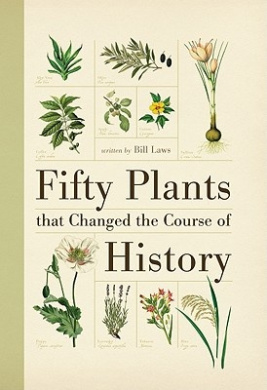 https://scientificbooks.net/sb/S3vzuyDRH1vslaGuBO.jpeg