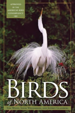 https://scientificbooks.net/sb/SAdzaiFDlH2bXNVnEv.jpeg