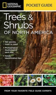 https://scientificbooks.net/sb/SOixhz65j5pxWTkJ2D.jpeg
