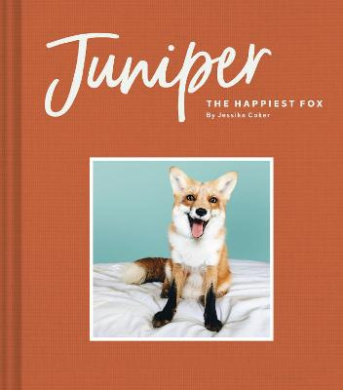 https://scientificbooks.net/sb/SWo15qOOX8MfNQY1jW.jpeg