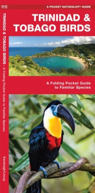 https://scientificbooks.net/sb/SXkKChLOdMoiOKldyv.jpeg