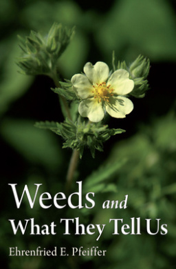 https://scientificbooks.net/sb/SYMYom6ZW7UsexBPfv.jpeg