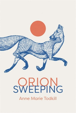 https://scientificbooks.net/sb/SmJzQJPapH2yQQGMNG.jpeg