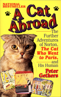 https://scientificbooks.net/sb/SrcDySRC24NclfHyon.jpeg