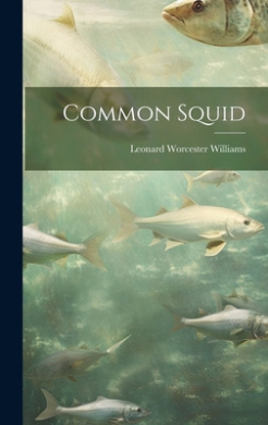 https://scientificbooks.net/sb/StKgiOSfOCm5I3csCe.jpeg