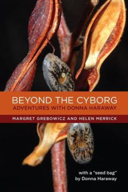 https://scientificbooks.net/sb/SuggC9EGiYk73o0wWp.jpeg