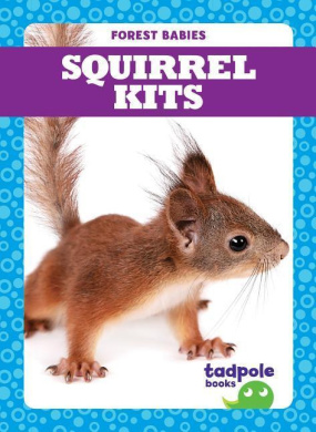 https://scientificbooks.net/sb/Sx6Lk3eqk5Vvt9fv1L.jpeg