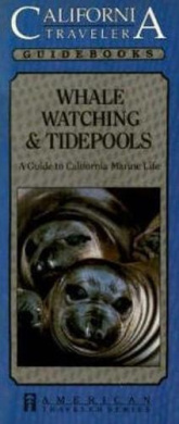 https://scientificbooks.net/sb/TDXYHb4v9uBke5FtyV.jpeg