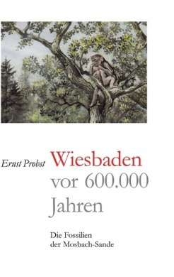 https://scientificbooks.net/sb/TGW6wpbuI65TjCp5dq.jpeg