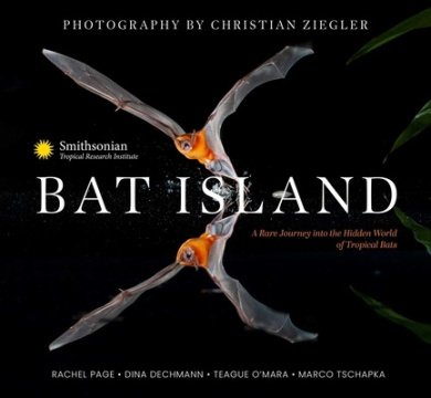 https://scientificbooks.net/sb/TNDXSZmlg1qHEW6bFb.jpeg