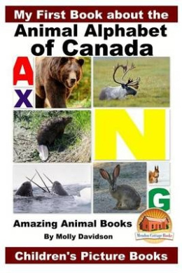 https://scientificbooks.net/sb/TSeK7wSLzYqrenTPip.jpeg