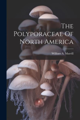 https://scientificbooks.net/sb/TUvg3Cbmu9klh8DQd0.jpeg