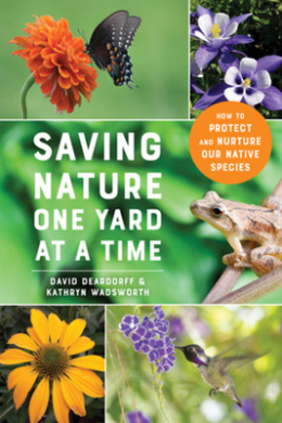 https://scientificbooks.net/sb/TVOyMLlQEtJVKvSMrl.jpeg