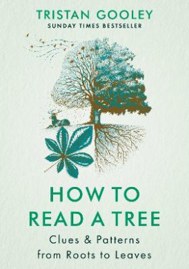 https://scientificbooks.net/sb/TYw0GFZdkJjJaKL3Pf.jpeg
