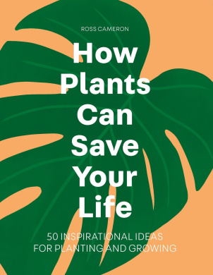https://scientificbooks.net/sb/TazeS92QSf6Uao9Iki.jpeg