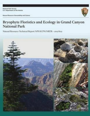 https://scientificbooks.net/sb/TbXGJmsoffN3Ptcbua.jpeg
