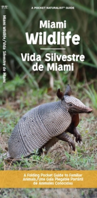 https://scientificbooks.net/sb/TclZwseIk5nMoNQ1Fb.jpeg