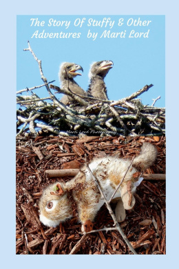 https://scientificbooks.net/sb/ThadwCmIhaTSROGAdZ.jpeg
