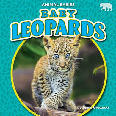https://scientificbooks.net/sb/ToeDZF4JlMECMk7sek.jpeg
