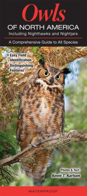https://scientificbooks.net/sb/TvGHYUIRd5aYPAXmIr.jpeg