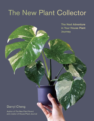 https://scientificbooks.net/sb/U4ReN0mkFCd71kgEEP.jpeg