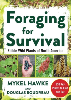 https://scientificbooks.net/sb/UBcSb3eqFKYD0RDX8I.jpeg
