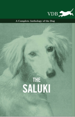 https://scientificbooks.net/sb/UP7ae34vToaC4qCfPo.jpeg