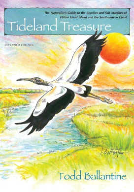 https://scientificbooks.net/sb/UagTMqZ0E5zIB2R0LW.jpeg