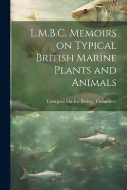 https://scientificbooks.net/sb/Ue8rZutcvaTDak4lsJ.jpeg