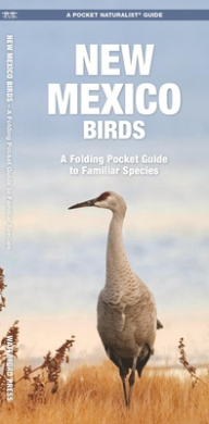 https://scientificbooks.net/sb/UgF2vXTaqVUiiwL5GO.jpeg