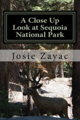 https://scientificbooks.net/sb/UpQLwUnZAYc8rNZAw9.jpeg