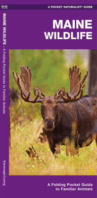 https://scientificbooks.net/sb/V1p45tLg8BRCZ8M5HV.jpeg