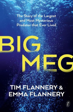 https://scientificbooks.net/sb/V494tIWwAeThWcXPHo.jpeg