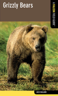 https://scientificbooks.net/sb/V9GGpQZFDUI0ZbZHeb.jpeg