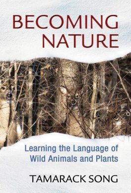 https://scientificbooks.net/sb/VKebDJHvWsoOfAaxT0.jpeg